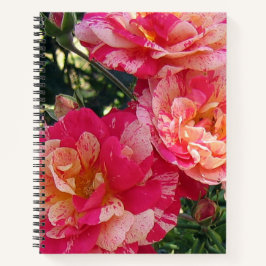 Roze en wit Gestreepte Rozen Bloemenkunst Notitieboek
