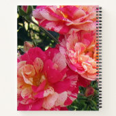 Roze en wit Gestreepte Rozen Bloemenkunst Notitieboek (Achterkant)