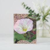 Roze en wit veld bind wiet briefkaart (Staand voorkant)