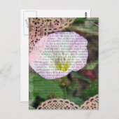 Roze en wit veld bind wiet briefkaart (Voorkant / Achterkant)