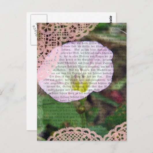 Roze en wit veld bind wiet briefkaart (Voorkant / Achterkant)