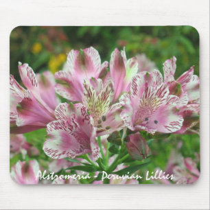 Roze en witte Alstromeria Mousepad Muismat