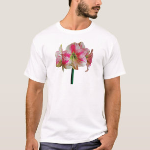 Roze en Witte Amaryllis T-shirt
