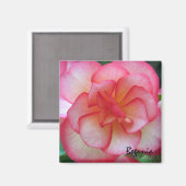 Roze en Witte Begonia Magneet (Voorkant / Achterkant)