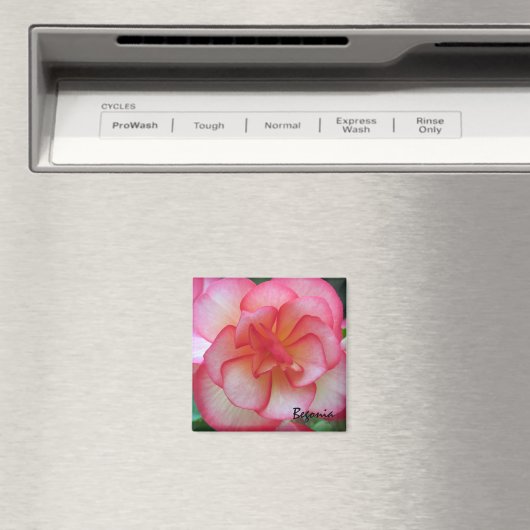 Roze en Witte Begonia Magneet (Insitu (Vaatwasser))