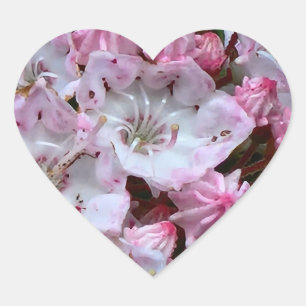 Roze en witte bergLaurel Flowers Hart Sticker