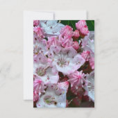 Roze en witte bergLaurel Flowers Kaart (Voorkant)