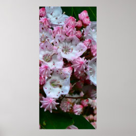 Roze en witte bergLaurel Flowers Poster
