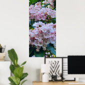 Roze en witte bergLaurel Flowers Poster (Thuiskantoor)