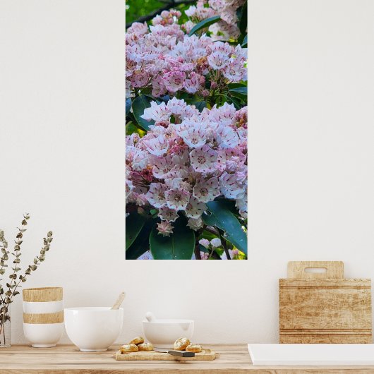 Roze en witte bergLaurel Flowers Poster (Keuken)