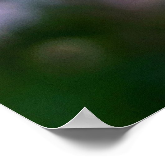 Roze en witte bergLaurel Flowers Poster (Hoek)