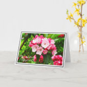 Roze en witte bergLaurel Kaart (Gele Bloem)