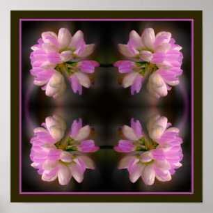 Roze en witte bloem close-up Abstract Poster