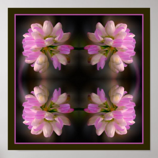 Roze en witte bloem close-up Abstract Poster (Voorkant)