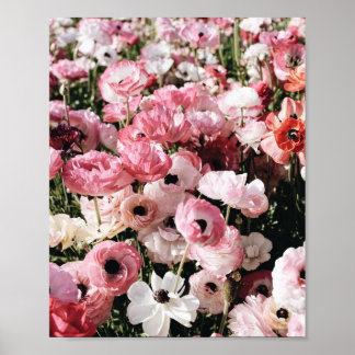 Roze en witte bloem posterprint poster