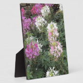 Roze en witte bloemen fotoplaat (Zijkant)