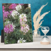 Roze en witte bloemen fotoplaat (Zijkant)