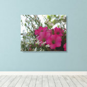 Roze en witte bloemen - Martha's wijngaard Canvas Afdruk (Insitu (Houten vloer))