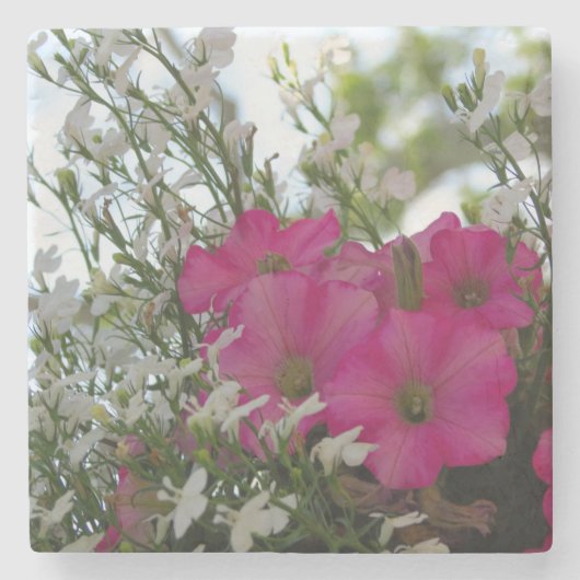 Roze en witte bloemen - Martha's wijngaard Stenen Onderzetter (Voorkant)