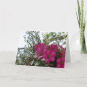 Roze en witte bloemen - Martha's wijnkaartje Kaart (Voorkant)