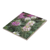 Roze en witte bloemen tegeltje (Zijkant)