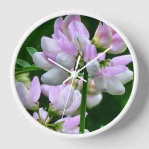 Roze en witte bloemknoppen