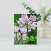 Roze en witte bloemknoppen briefkaart (Staand voorkant)