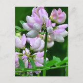 Roze en witte bloemknoppen briefkaart (Voorkant)