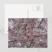 roze en witte bloemknoppen briefkaart (Voorkant / Achterkant)