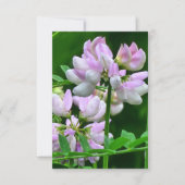 Roze en witte bloemknoppen kaart (Voorkant)