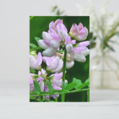 Roze en witte bloemknoppen kaart (Staand voorkant)