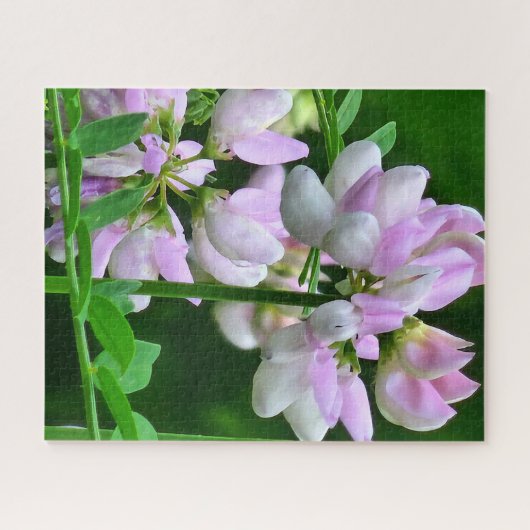 Roze en witte bloemknoppen legpuzzel (Horizontaal)