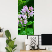 Roze en witte bloemknoppen poster (Thuiskantoor)