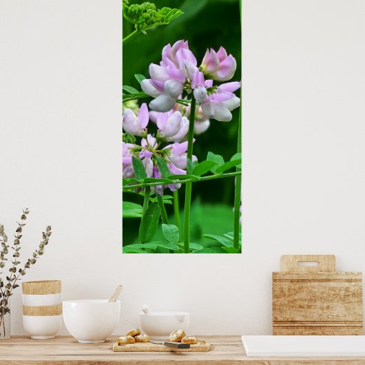 Roze en witte bloemknoppen poster (Keuken)