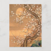Roze en witte bloesems in Moonlight, Shizan Briefkaart (Voorkant)