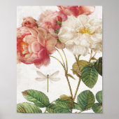  roze en witte botanische Rozen Poster (Voorkant)