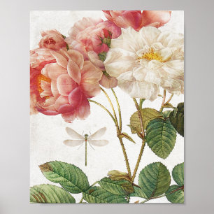 roze en witte botanische Rozen Poster