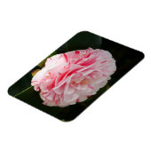 Roze en witte Camellia Flower Magnet Magneet (Linkerzijde)