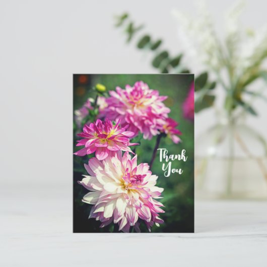 Roze en witte dagbloem Dank je wel Feestdagenkaart (Staand voorkant)