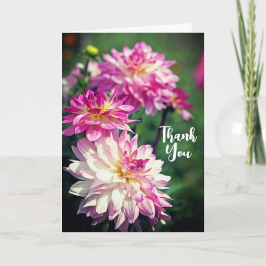 Roze en witte dagbloem Dank je wel Kaart (Voorkant)