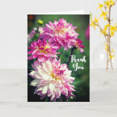 Roze en witte dagbloem Dank je wel Kaart (Gele Bloem)