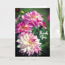 Roze en witte dagbloem Dank je wel Kaart