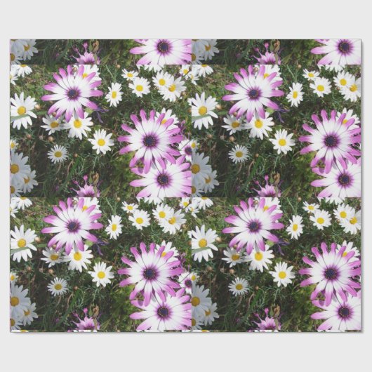 Roze en Witte Dagen Daisy flower Cadeaupapier (Vlak)