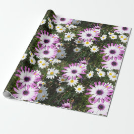Roze en Witte Dagen Daisy flower Cadeaupapier