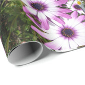 Roze en Witte Dagen Daisy flower Cadeaupapier (Rol Hoek)