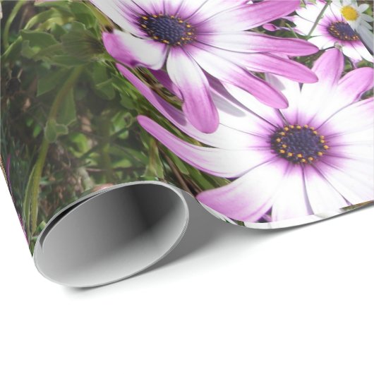 Roze en Witte Dagen Daisy flower Cadeaupapier (Rol Hoek)