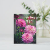 Roze en Witte Dahlia Bloem Denk aan je Briefkaart (Staand voorkant)