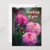 Roze en Witte Dahlia Bloem Denk aan je Briefkaart (Voorkant / Achterkant)