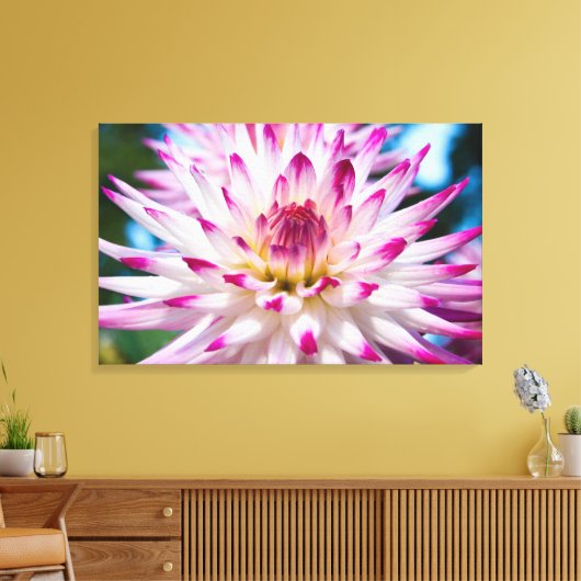 Roze en Witte Dahlia Canvas Afdruk (Insitu (Woonkamer))