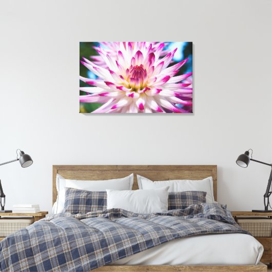 Roze en Witte Dahlia Canvas Afdruk (Insitu (Slaapkamer))